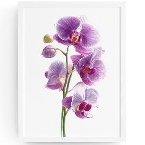 Watercolor Purple Orchids Wall Art Print Unframed - Elegant Floral Serenity
